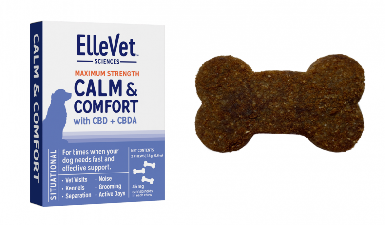 Best CBD Products for Senior Dogs
