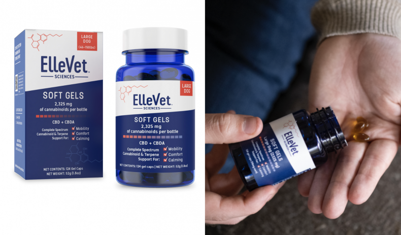 Best CBD Products for Senior Dogs