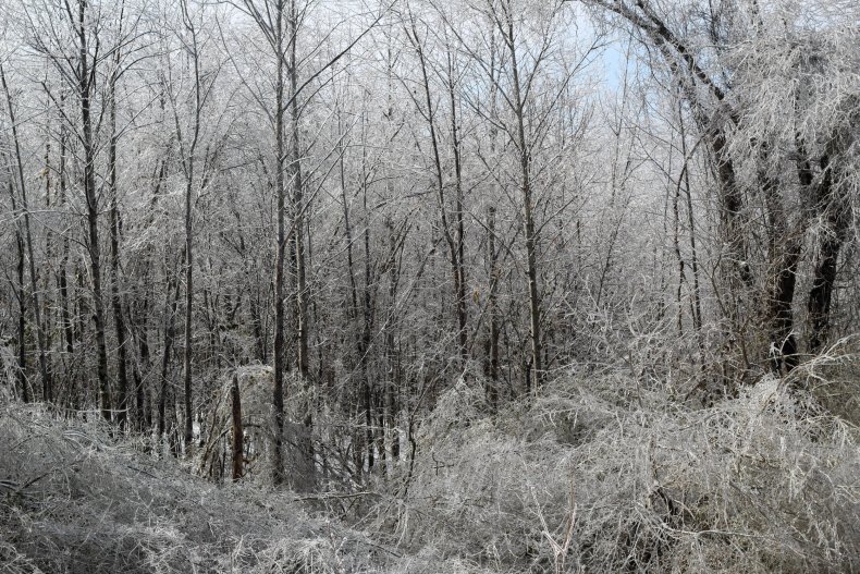 Alabama snow