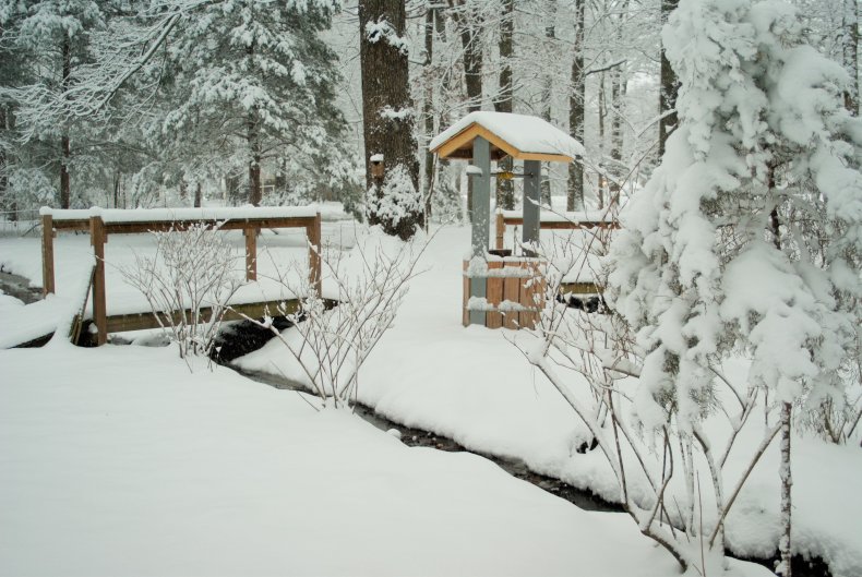 Mississippi Winter