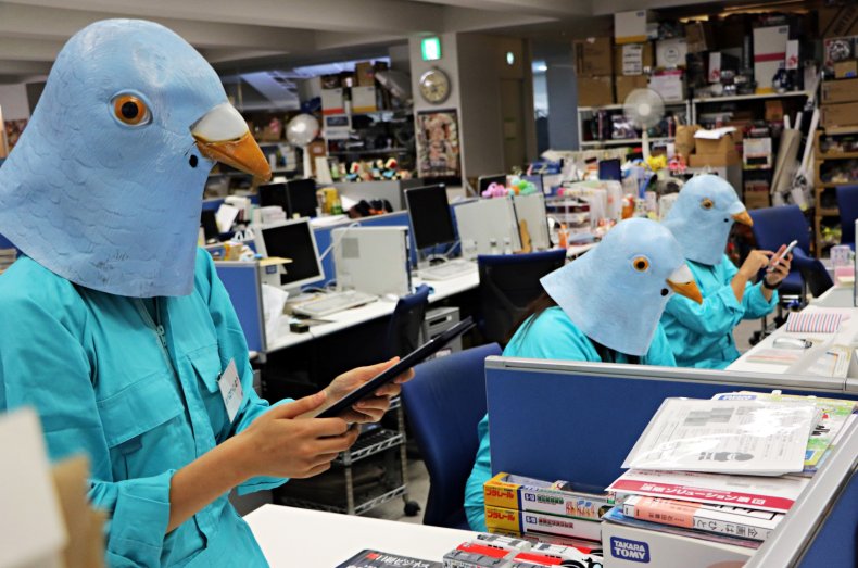 Birds masks