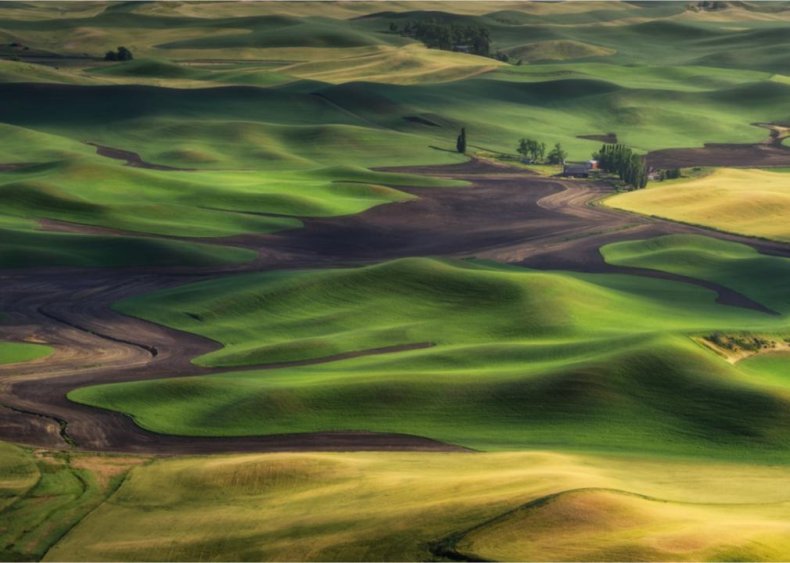 #25. Washington