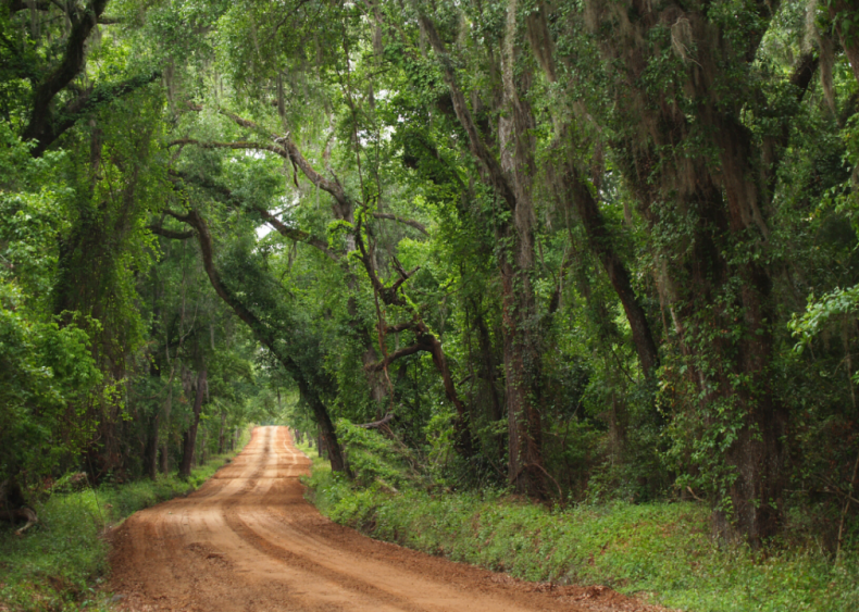 Georgia: Clay County
