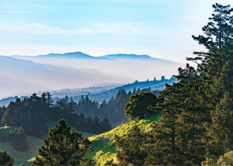 #14. Corte Madera, California