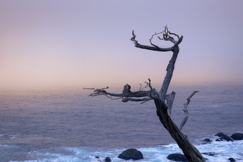 pebble beach, california