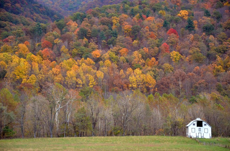 WV