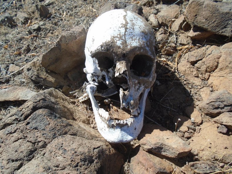 Human remains Arizona