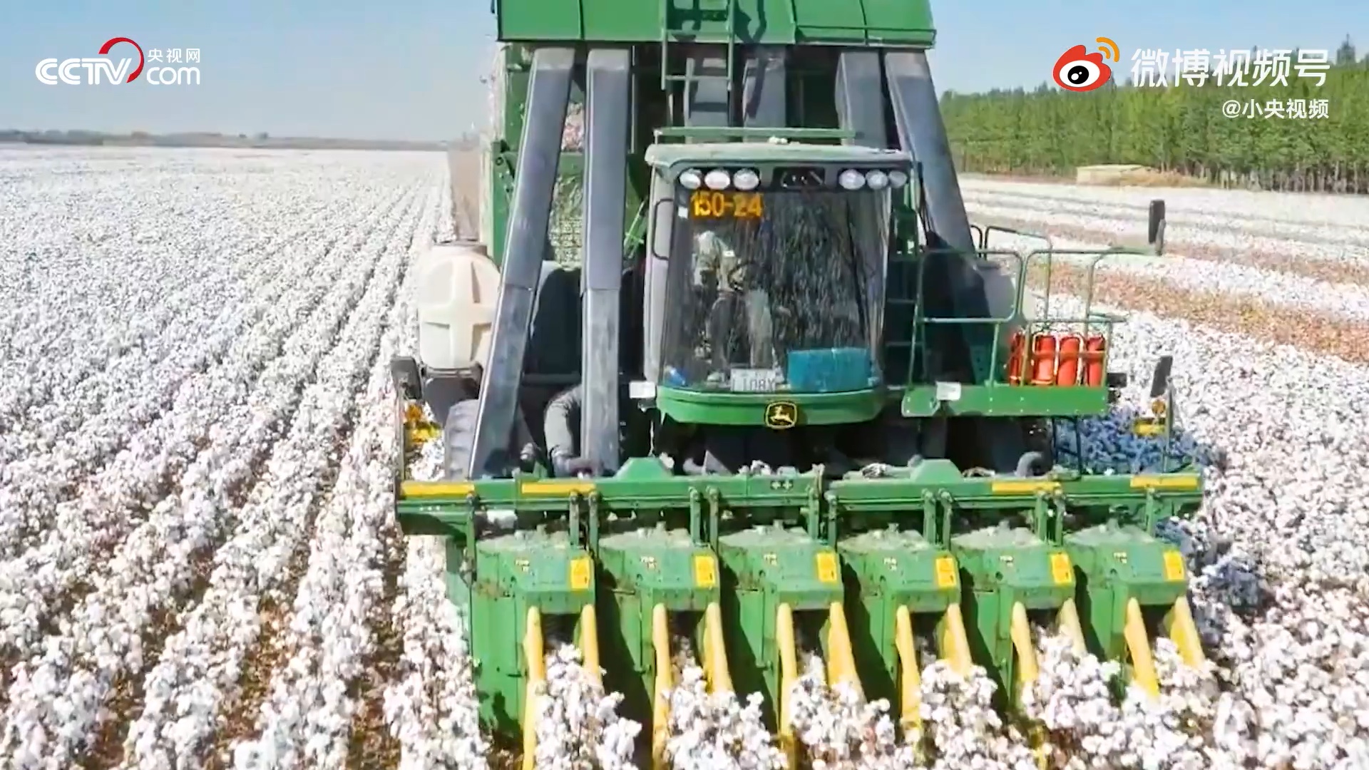 Xinjiang Cotton Mechanized, Not Forced Labor, Says China ...