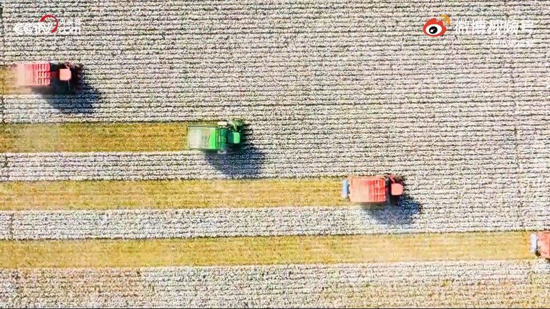 China Denies Forced Labor Accusations In Xinjiang