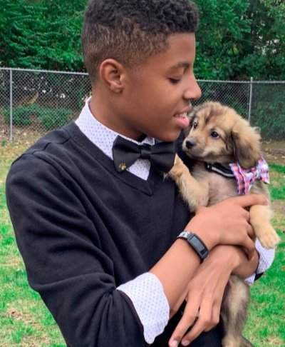 Rescue dogs, dogs, bow ties Rescue dogs, dogs, bow ties