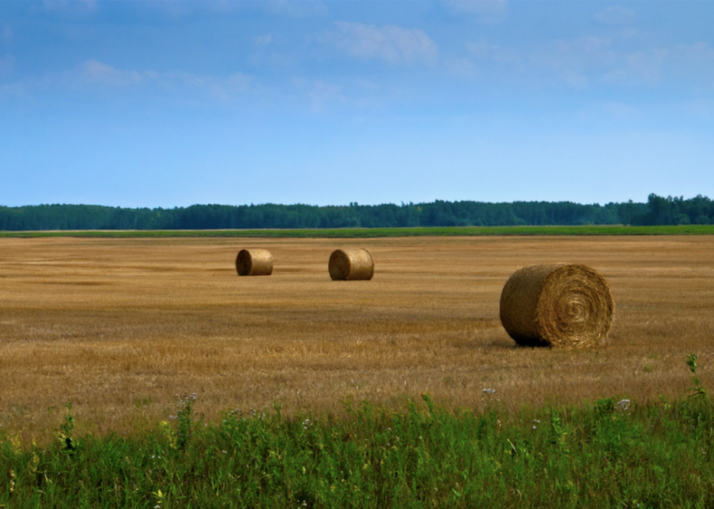 #25. Minnesota