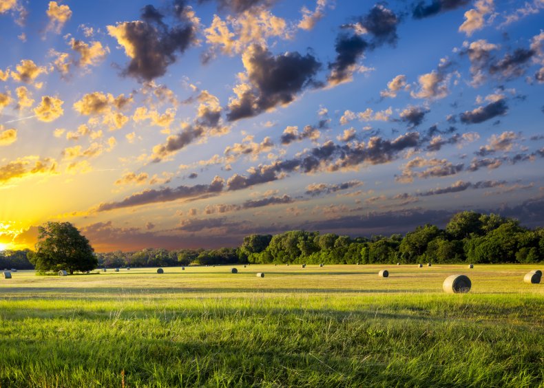 Texas farm