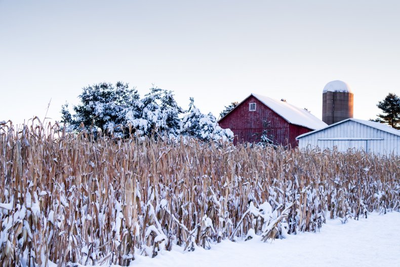 Wisconsin field