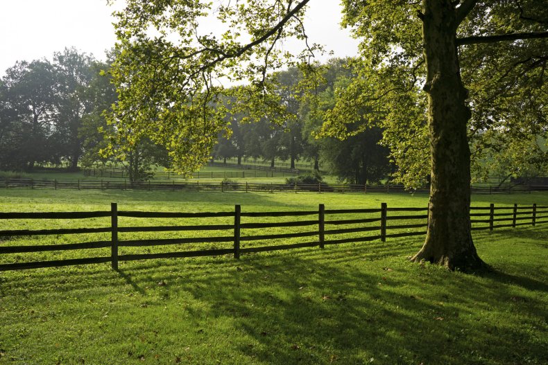 PA farm