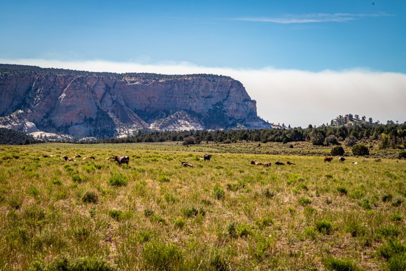 Utah farm
