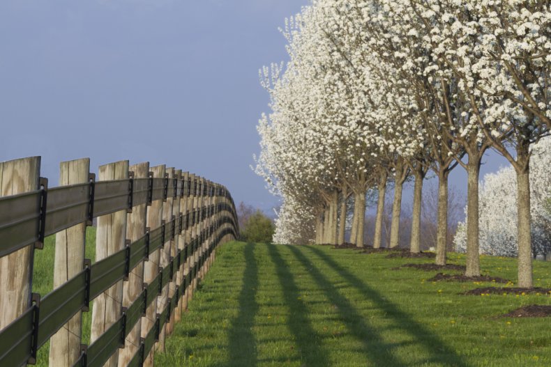 New Jersey farm