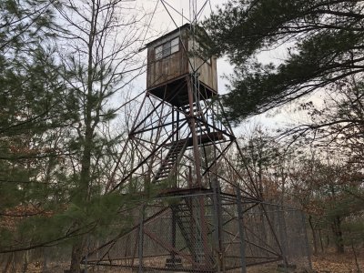 Firewatch, computer games, fire towers, nature, conservation