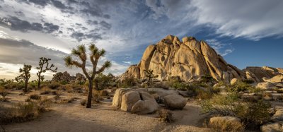 Joshua Tree National Park, California Joshua Tree National Park, California