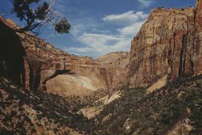 Zion National Park Zion National Park