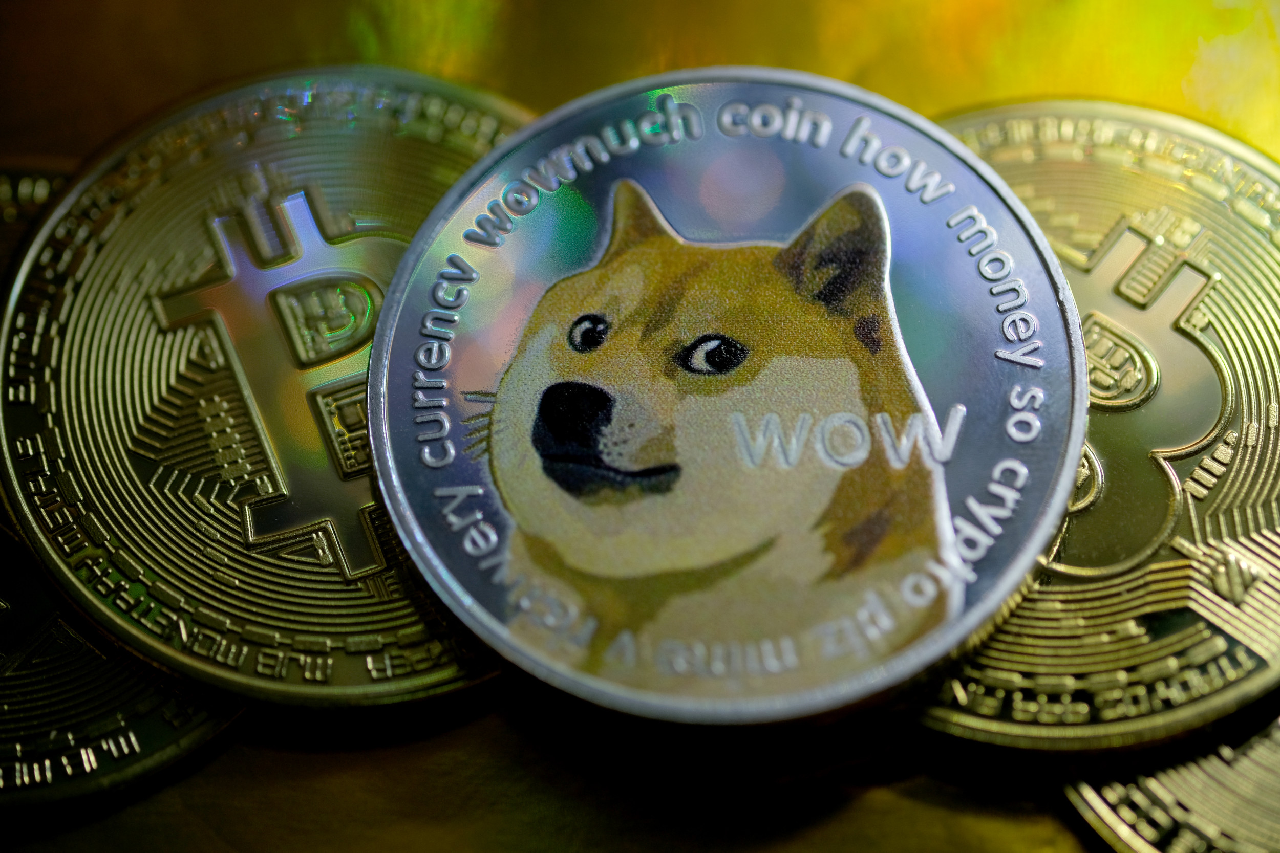Dogecoin up As Elon Musk Claims SpaceX Will 'Literally ...