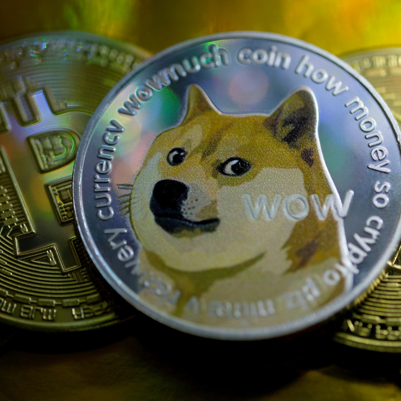 Moon Bitcoin Cash Sign Up - Moon Bitcoin Moon Cash Litecoin Dogecoin An ...
