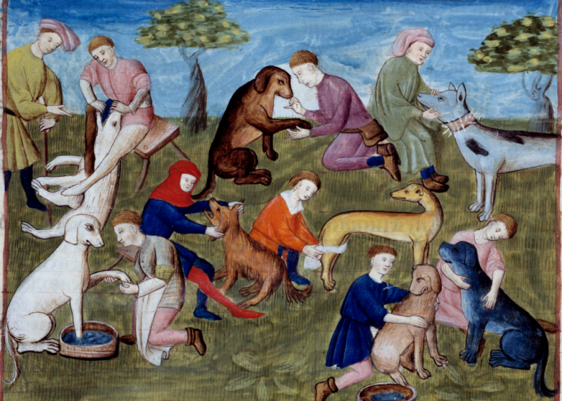 10,000 years ago: Dogs get jobs