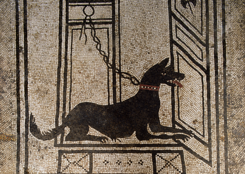 First century: The military dog market emerges