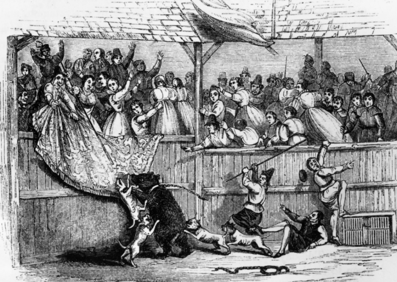 12th century: Baiting emerges as a European pastime