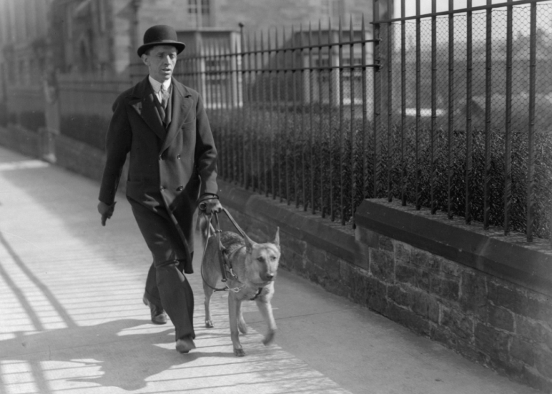 1750s: The guide dog movement is born