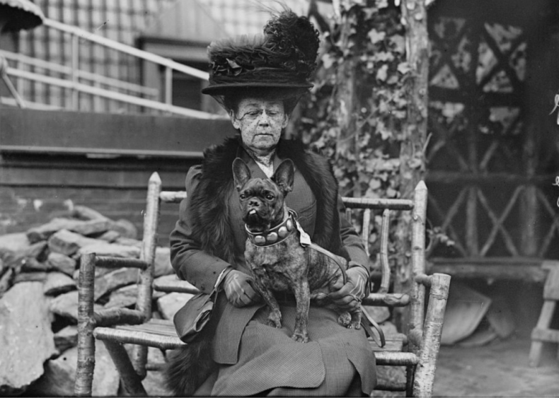 1884: The American Kennel Club is formed
