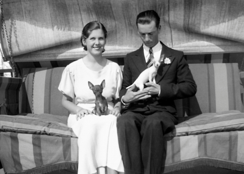 1904: An ancient breed receives modern validation