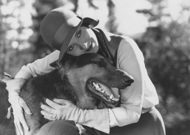 1908: The German shepherd earns its place