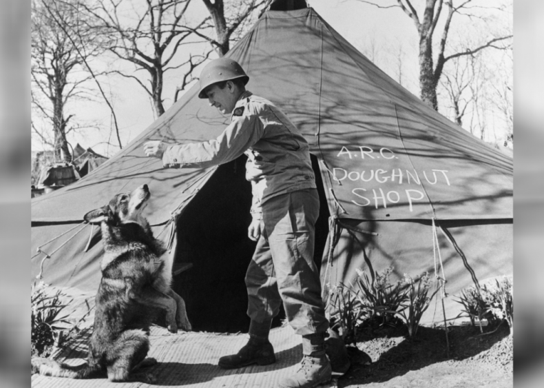 1943: A dog is decorated