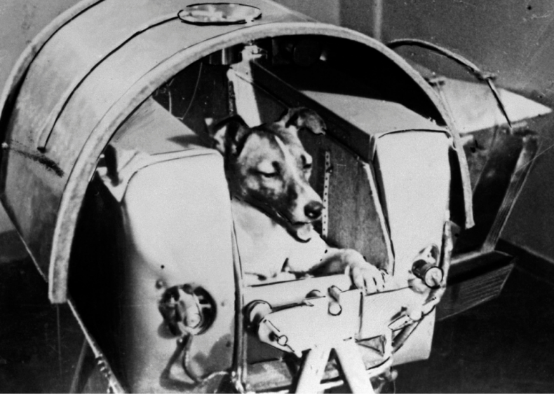 1957: Dogs beat humans into outer space
