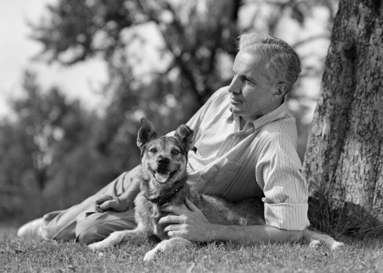1960s: Dogs double as therapists