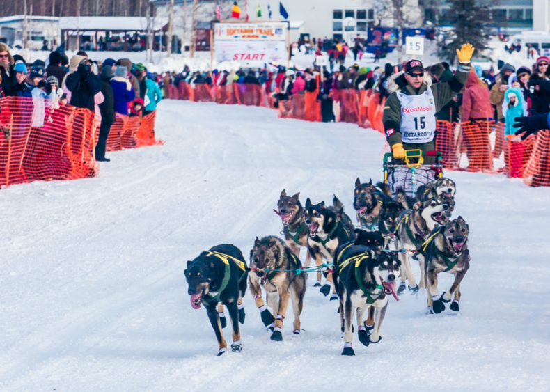 1973: The world’s most famous dog race begins