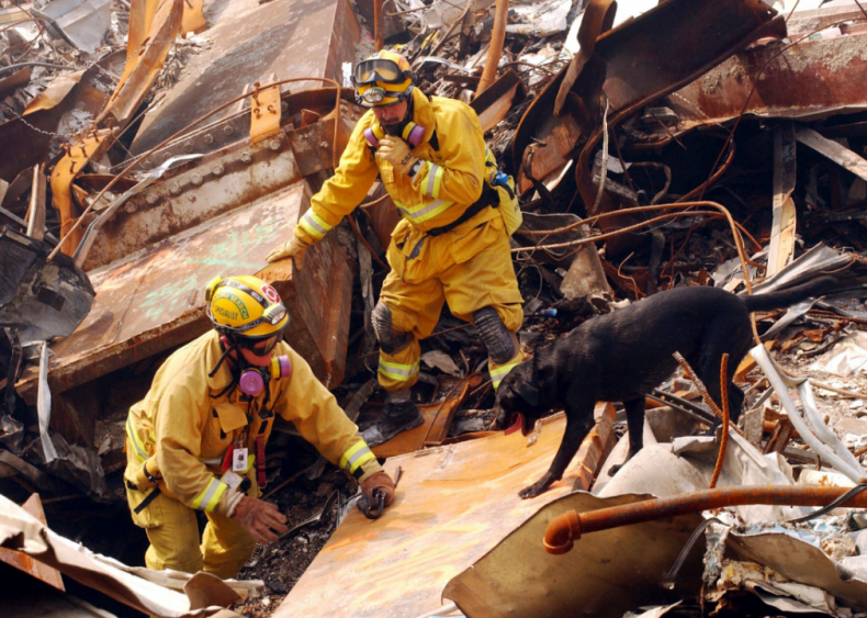 2001: 9/11 dogs offer hope in times of terror