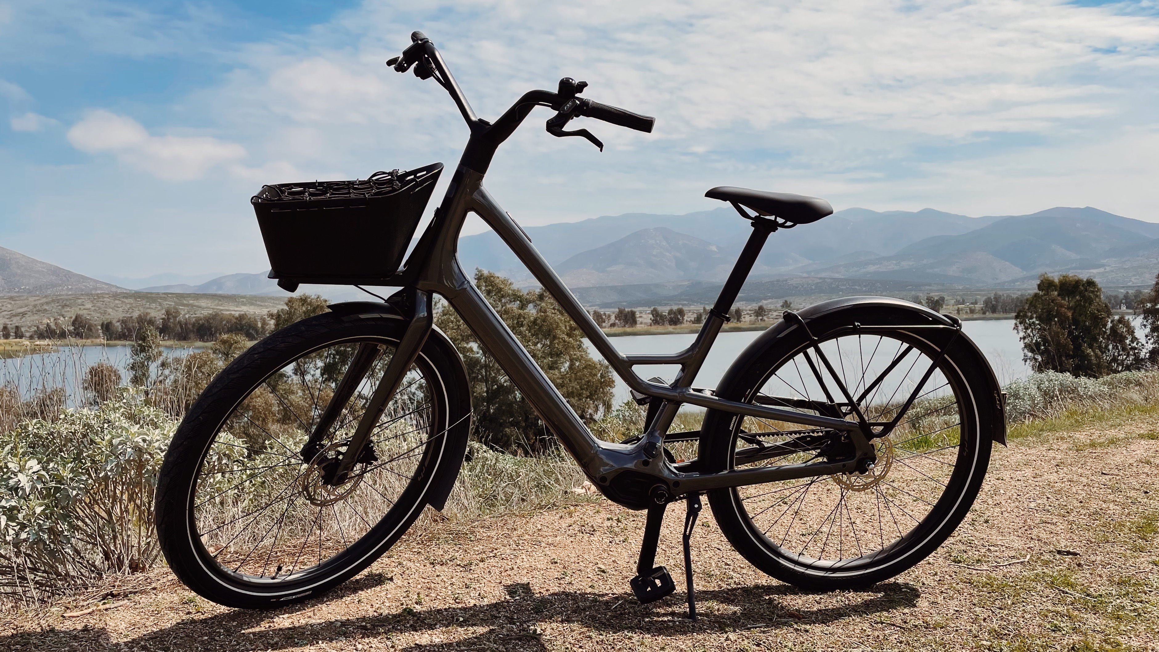 Specialized store beach cruiser