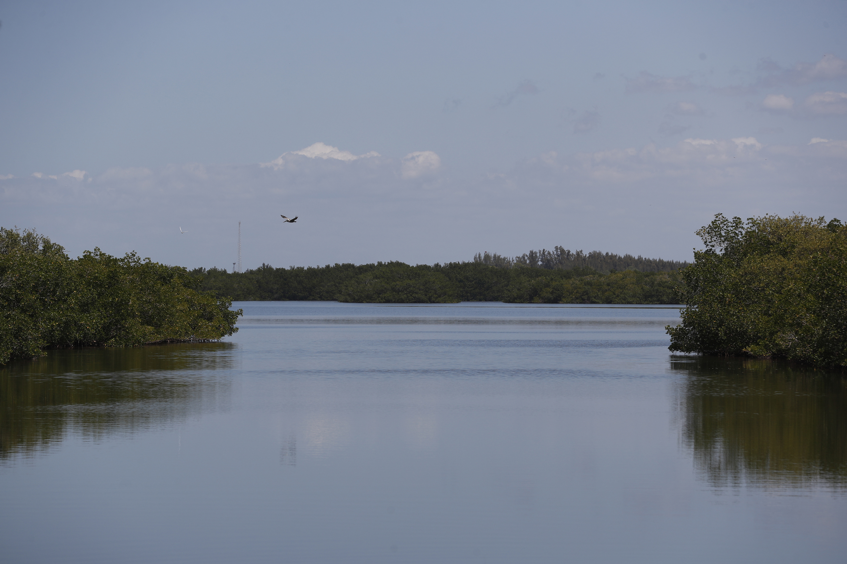 Piney Point Toxic Runoff Stopped, County Officials Confirm No Second Leak