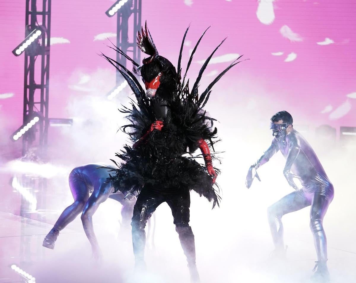 The Masked Singer Season 5 All The Clues About Black Swans Identity