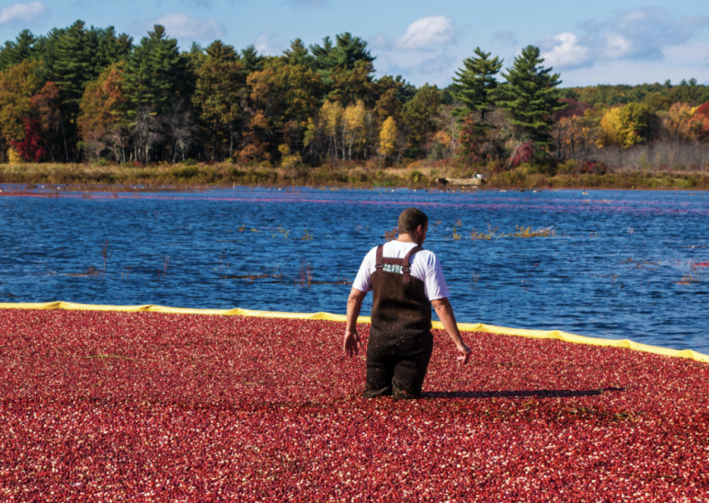 #47. Massachusetts