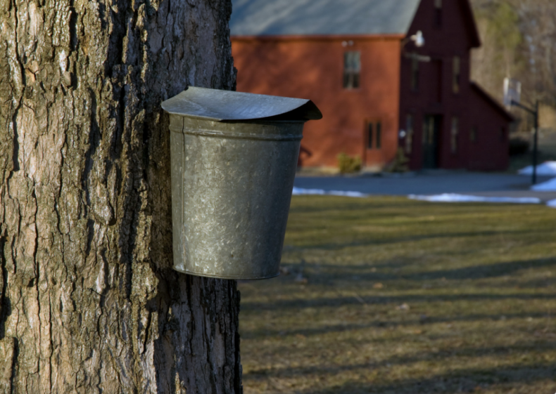 #42. Vermont