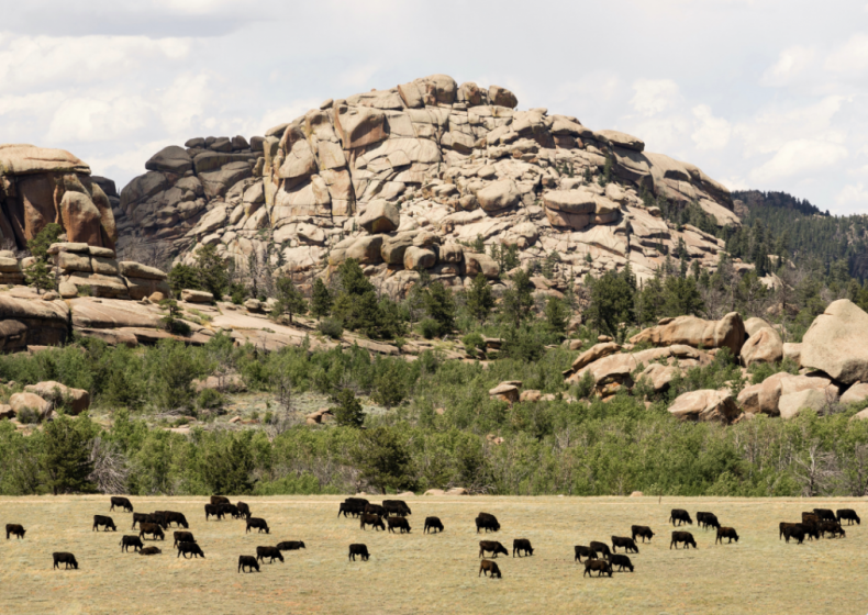 #38. Wyoming