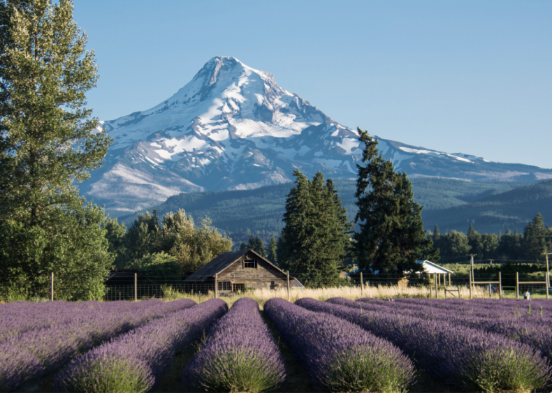 #28. Oregon