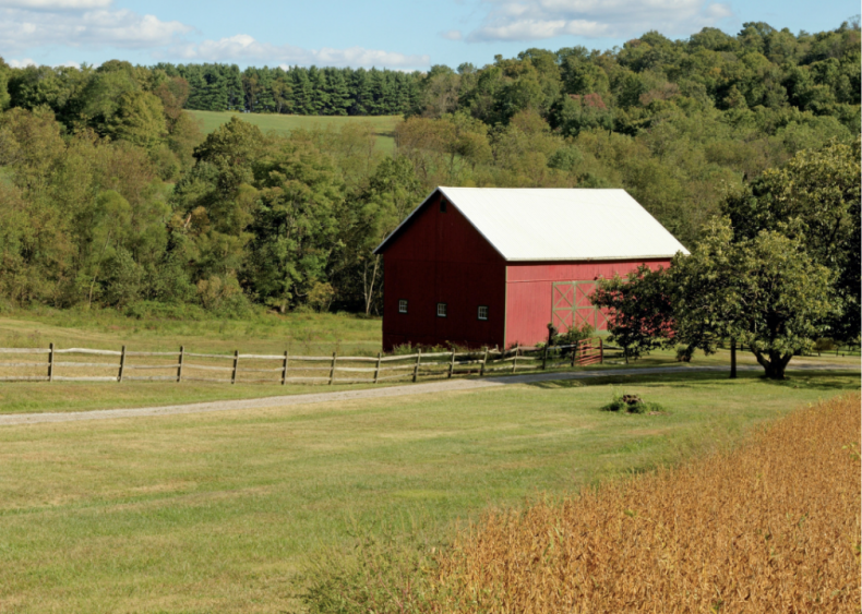 #13. Ohio