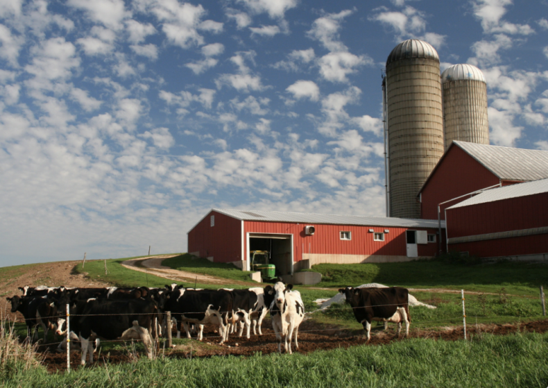#9. Wisconsin