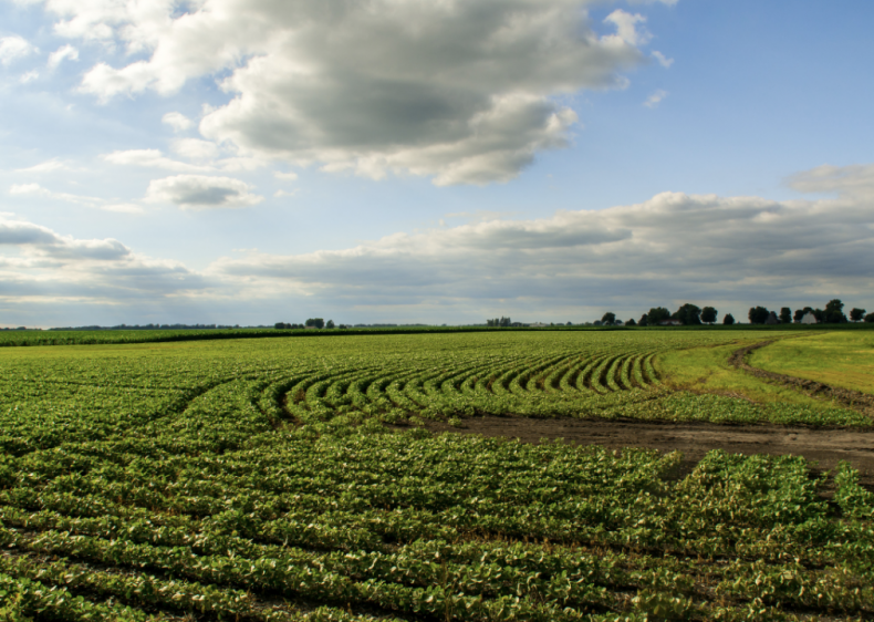 #7. Illinois