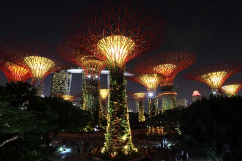 CUL_Map_Sustainability_Supertrees