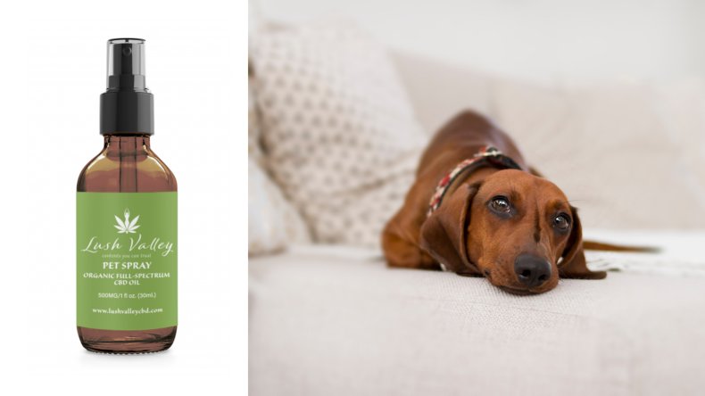 Lush Valley Pet Spray
