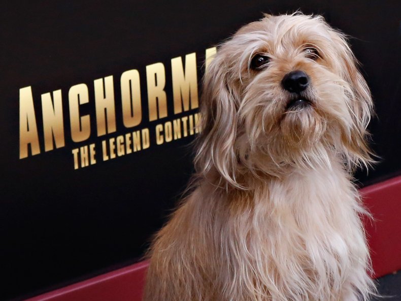 Anchorman Baxter